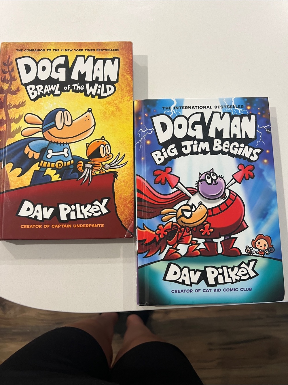 Scholastic Dog Man Books - Blue & Orange Covers